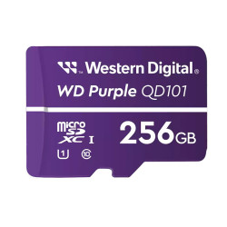 256GB Surveillance MicroSD Card